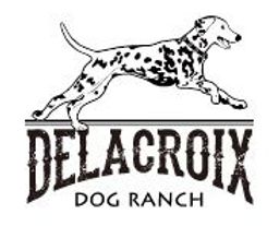 Group Logo