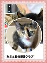 みさと動物愛護クラブ