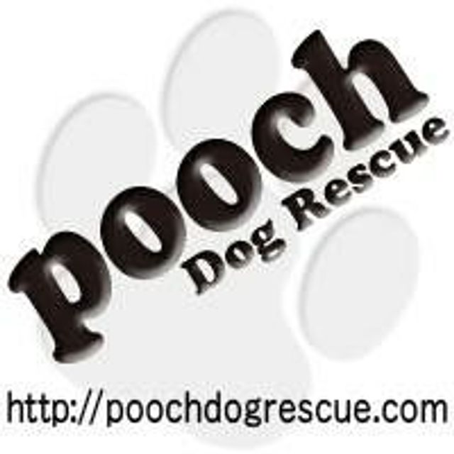 特定非営利活動法人PoochDogRescue