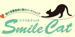 smile cat