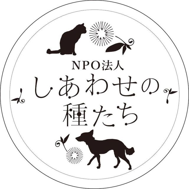 認定特定非営利活動法人しあわせの種たち
