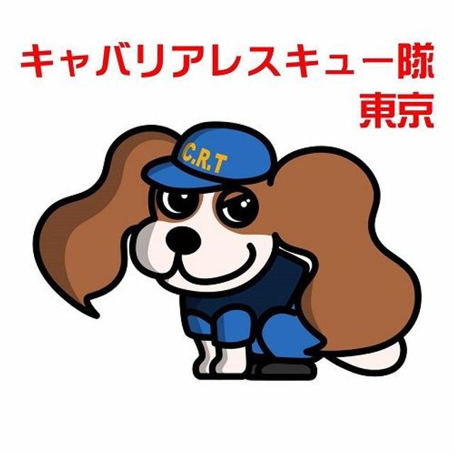 キャバリアレスキュー隊