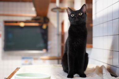 わたるの写真