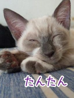 thumb-2