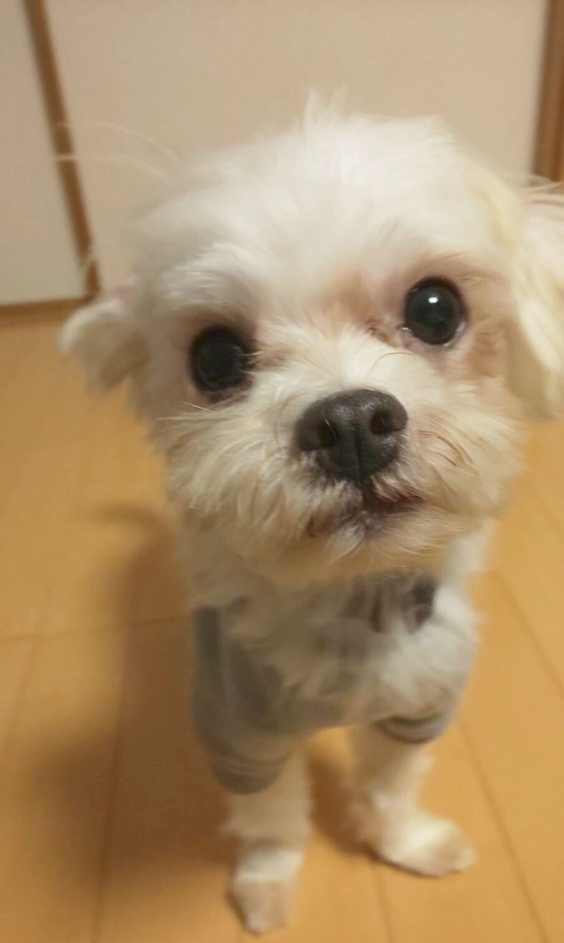 thumbnail-8