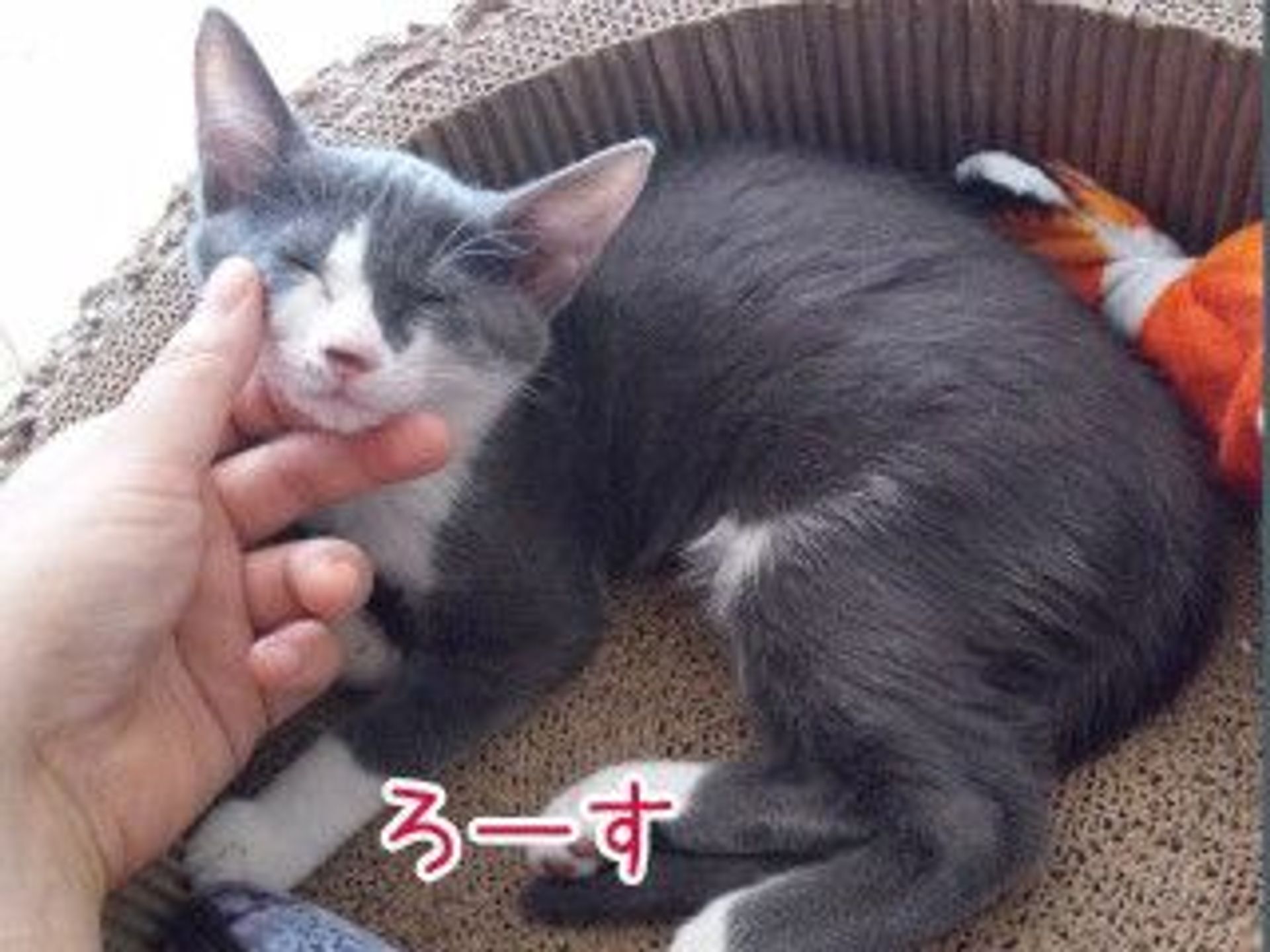 thumbnail-3