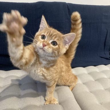 ユパ様