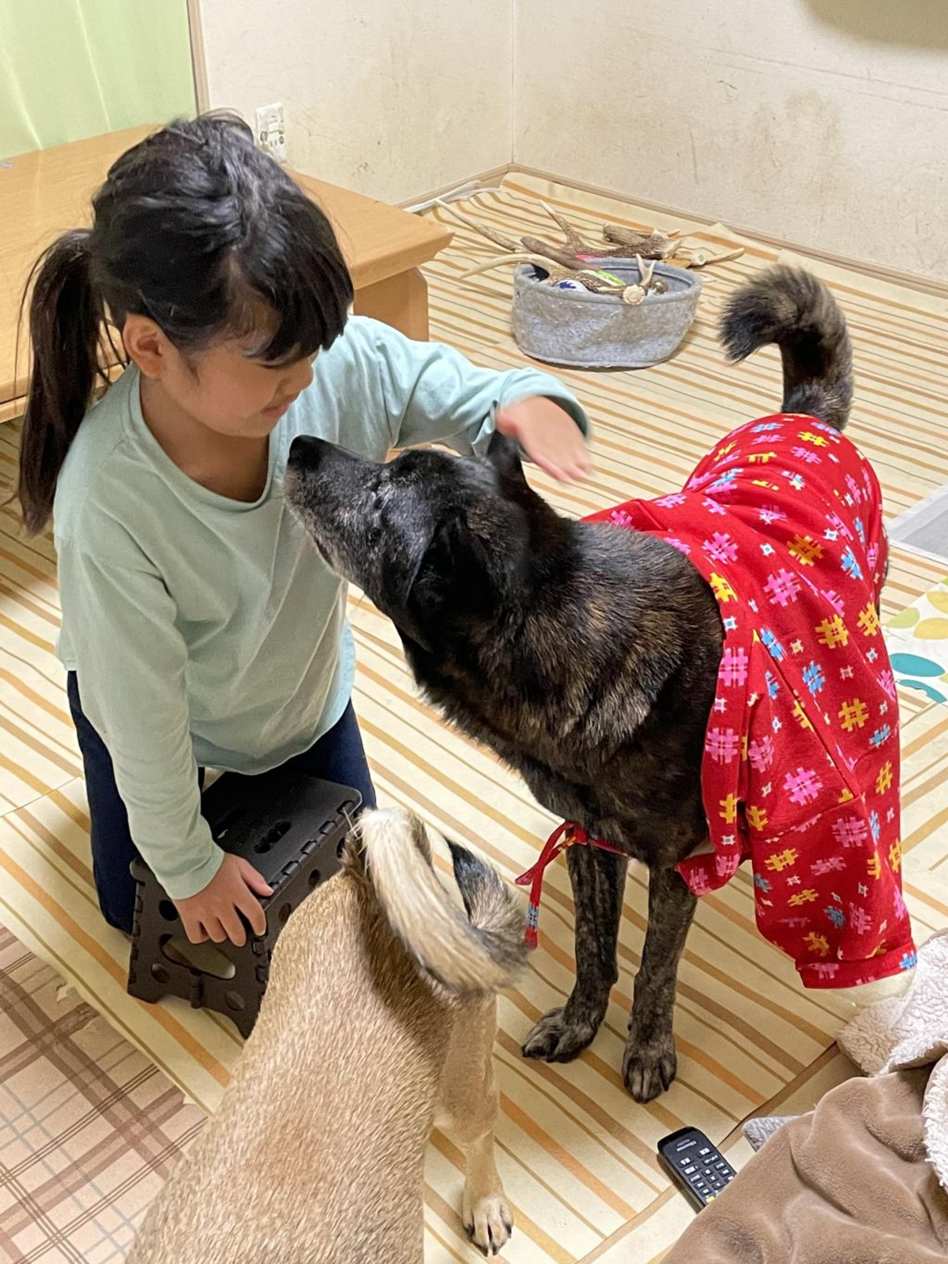 pet-image-9