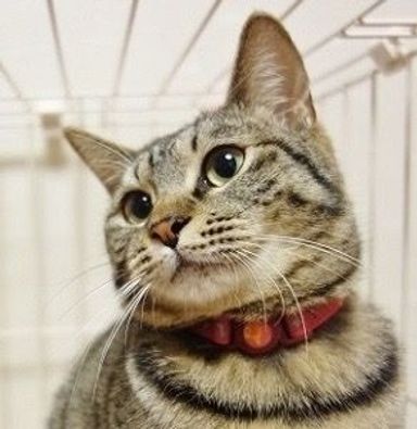 名無しちゃんの写真