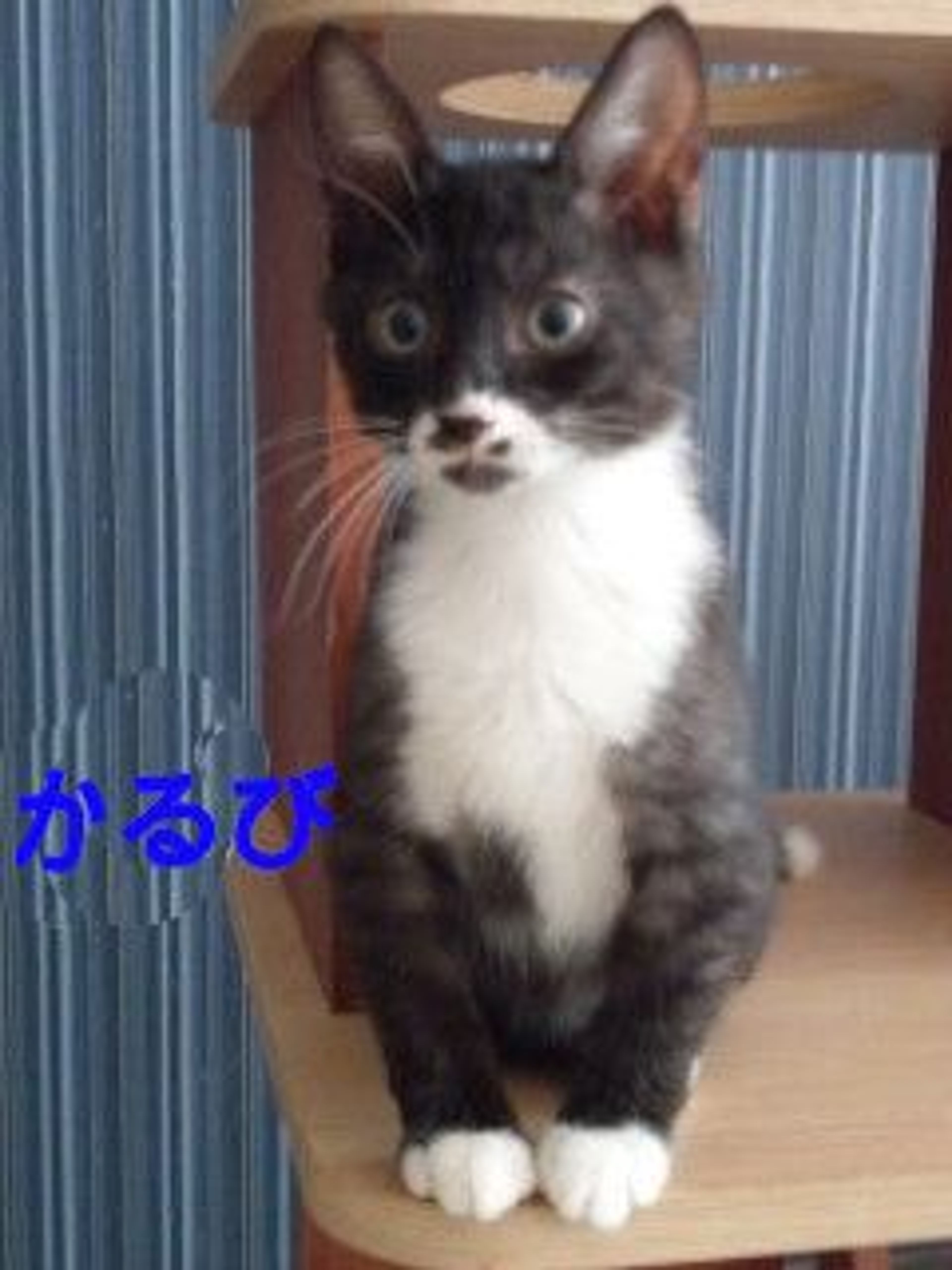 image-3