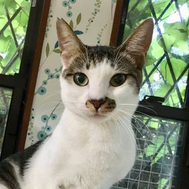 名無しちゃんの写真
