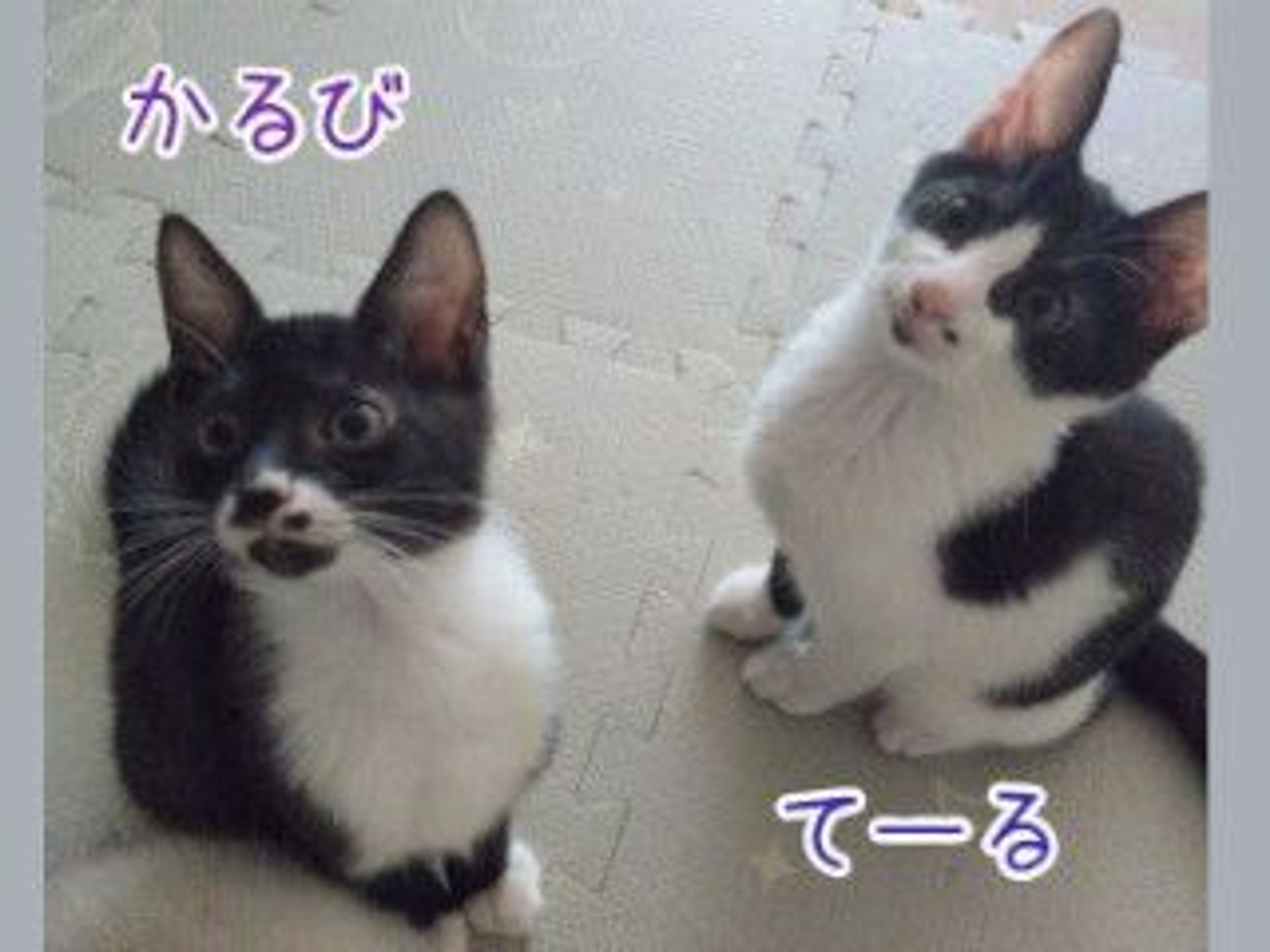 image-5