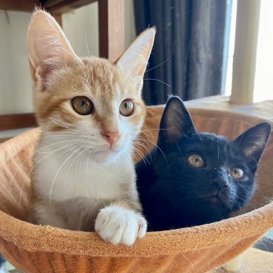 Bくん＆Tくんの写真