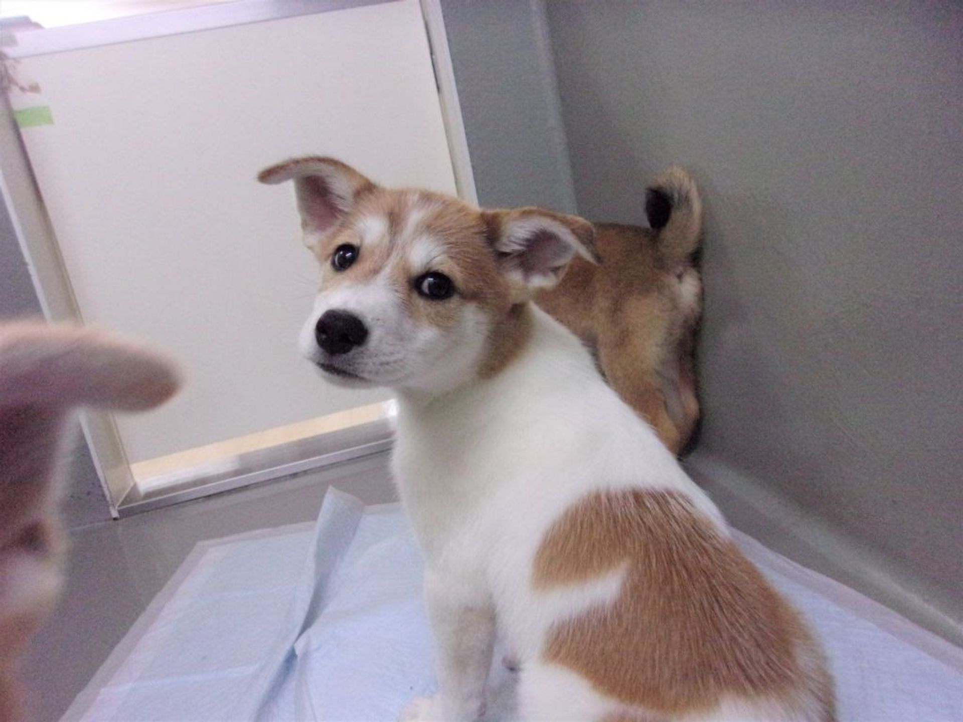 thumbnail-3