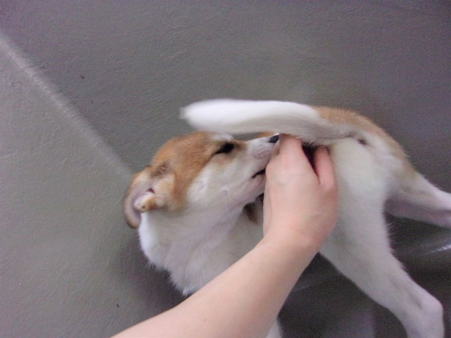 thumbnail-7