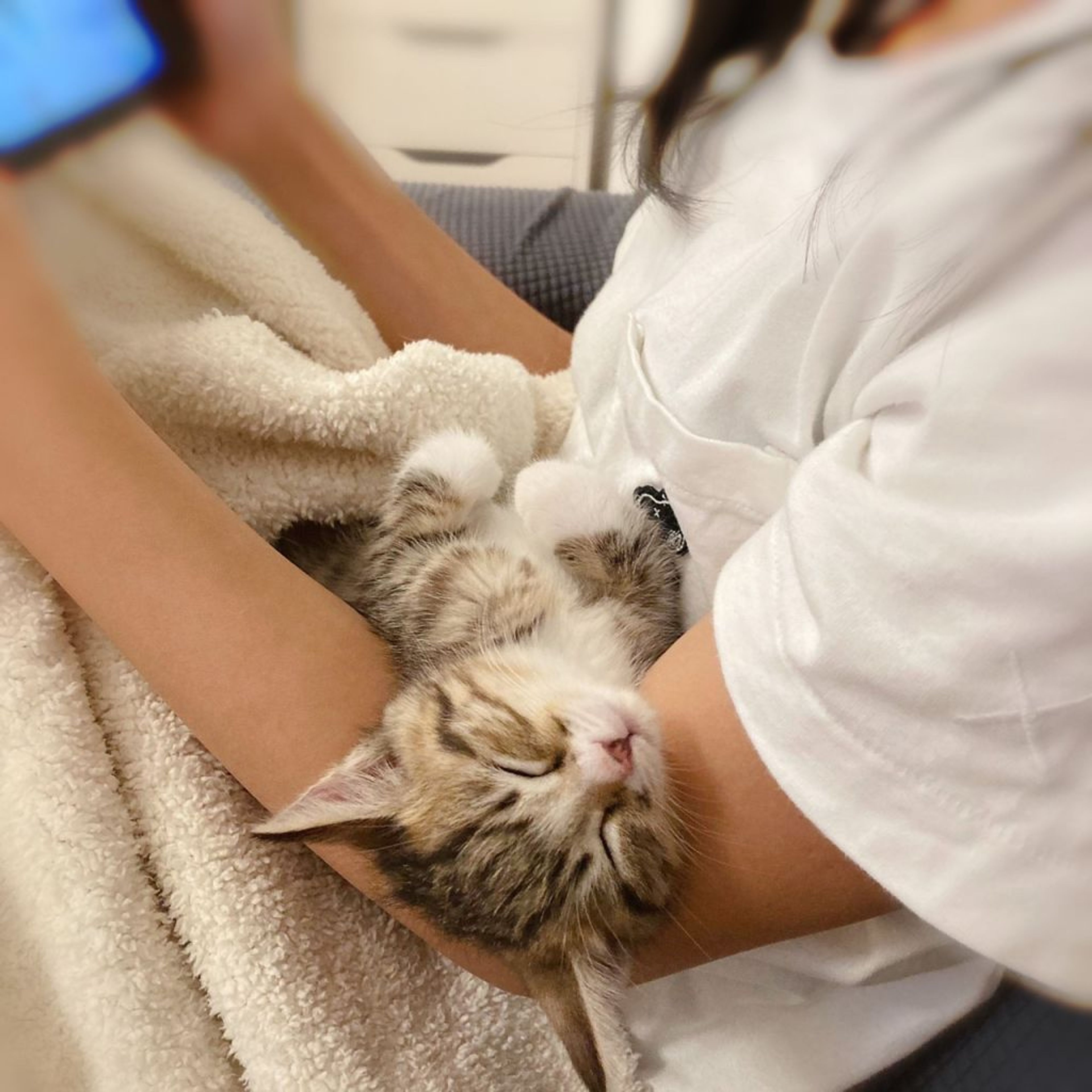 pet-image-5