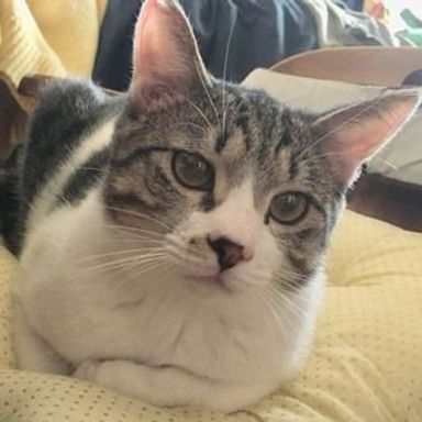 名無しちゃんの写真