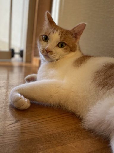 ロイの写真