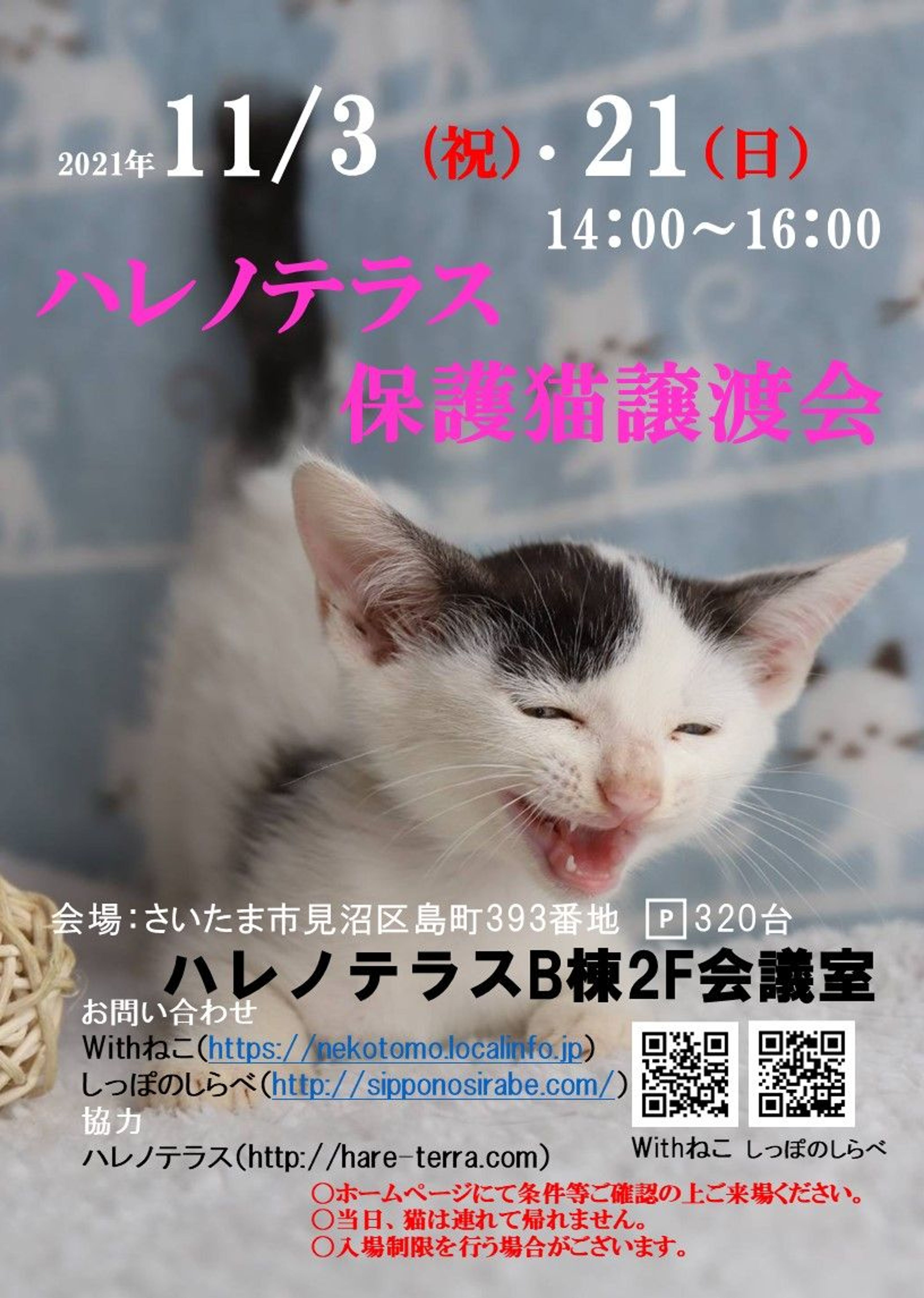 pet-image-5