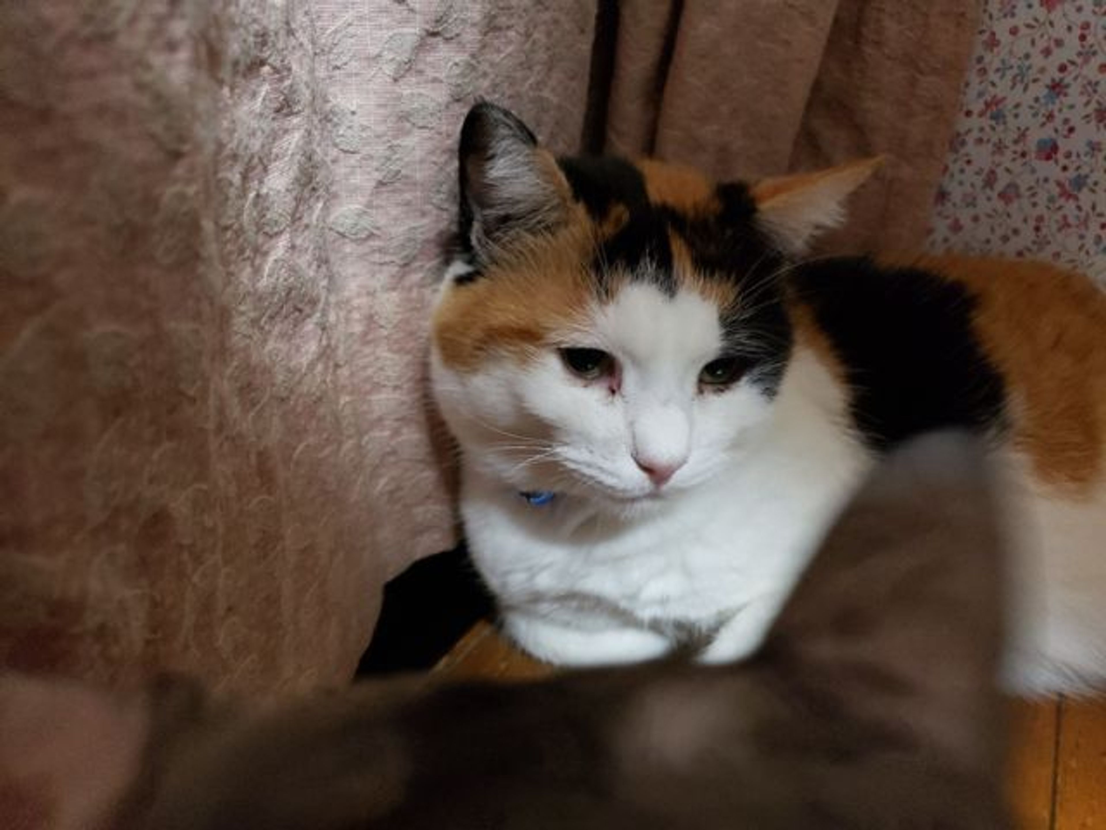 image-2
