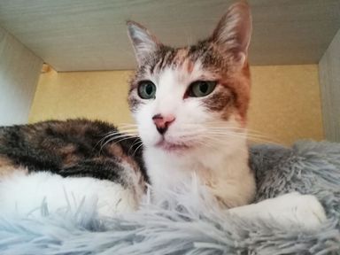 ミミの写真
