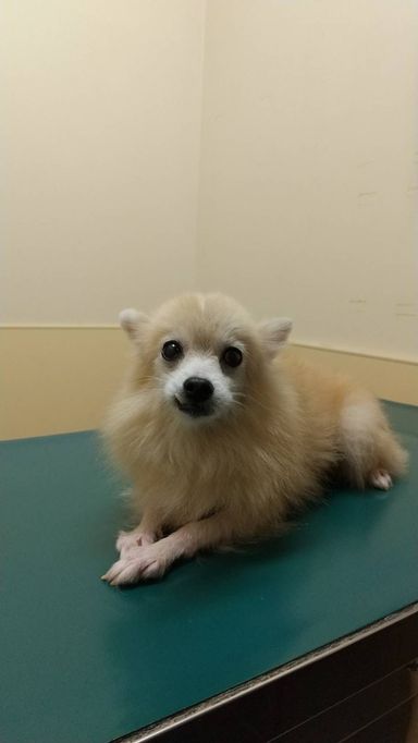 マミちゃんの写真