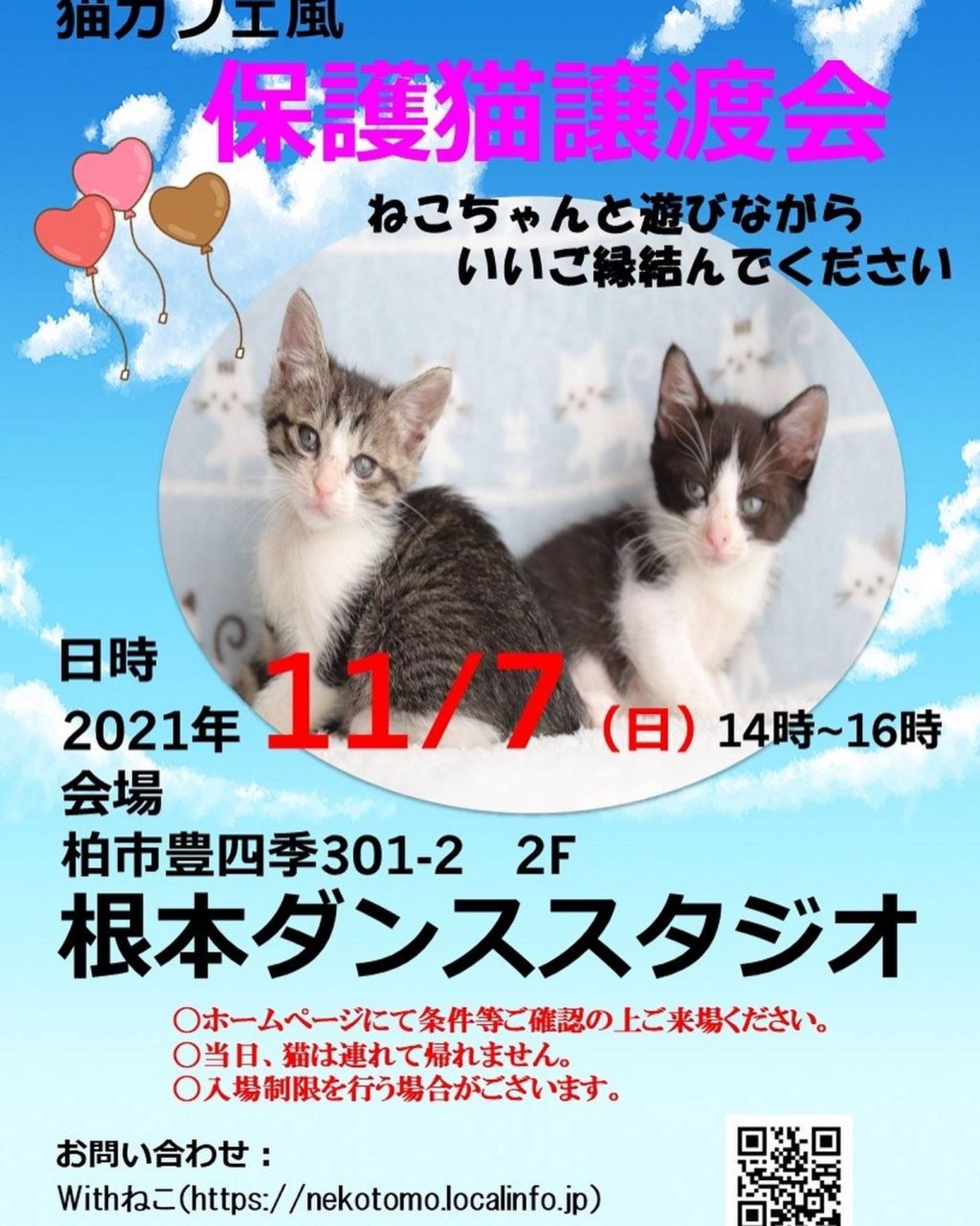 pet-image-6