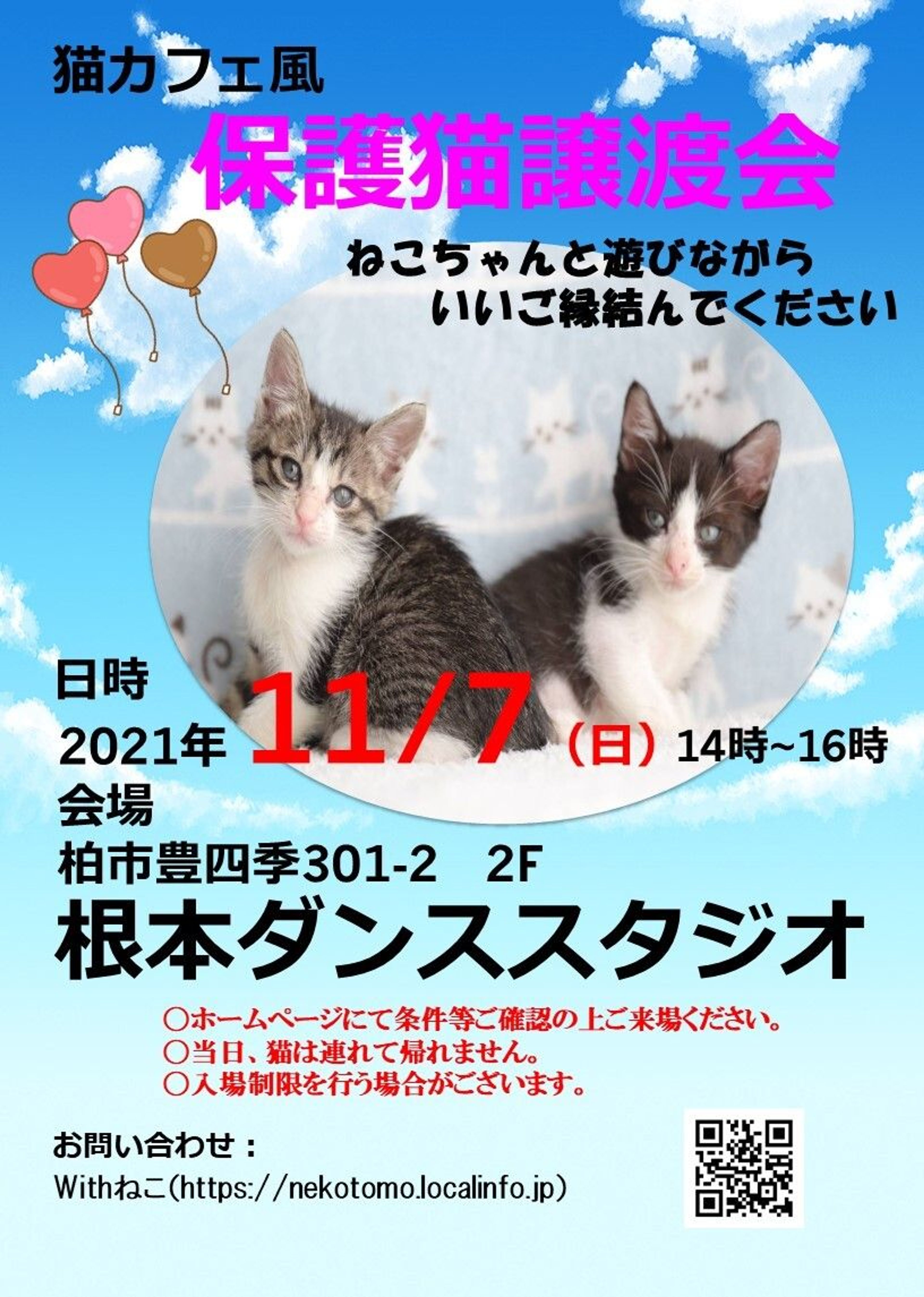 pet-image-6