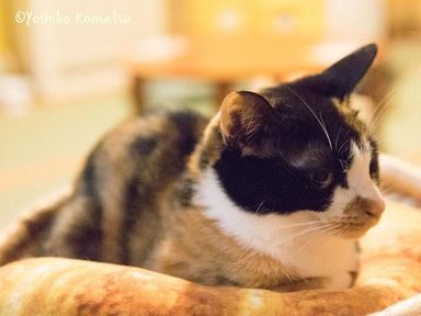 名無しちゃんの写真