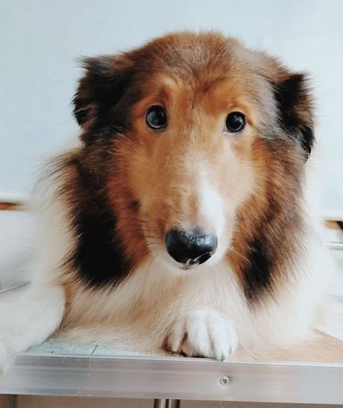 ひかりの写真