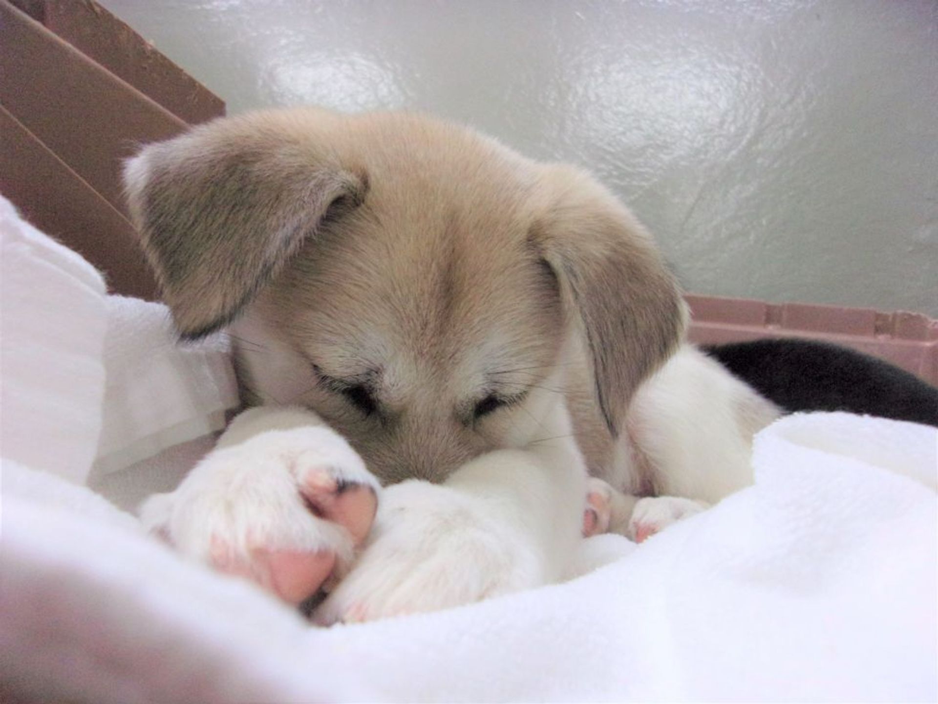 thumbnail-5