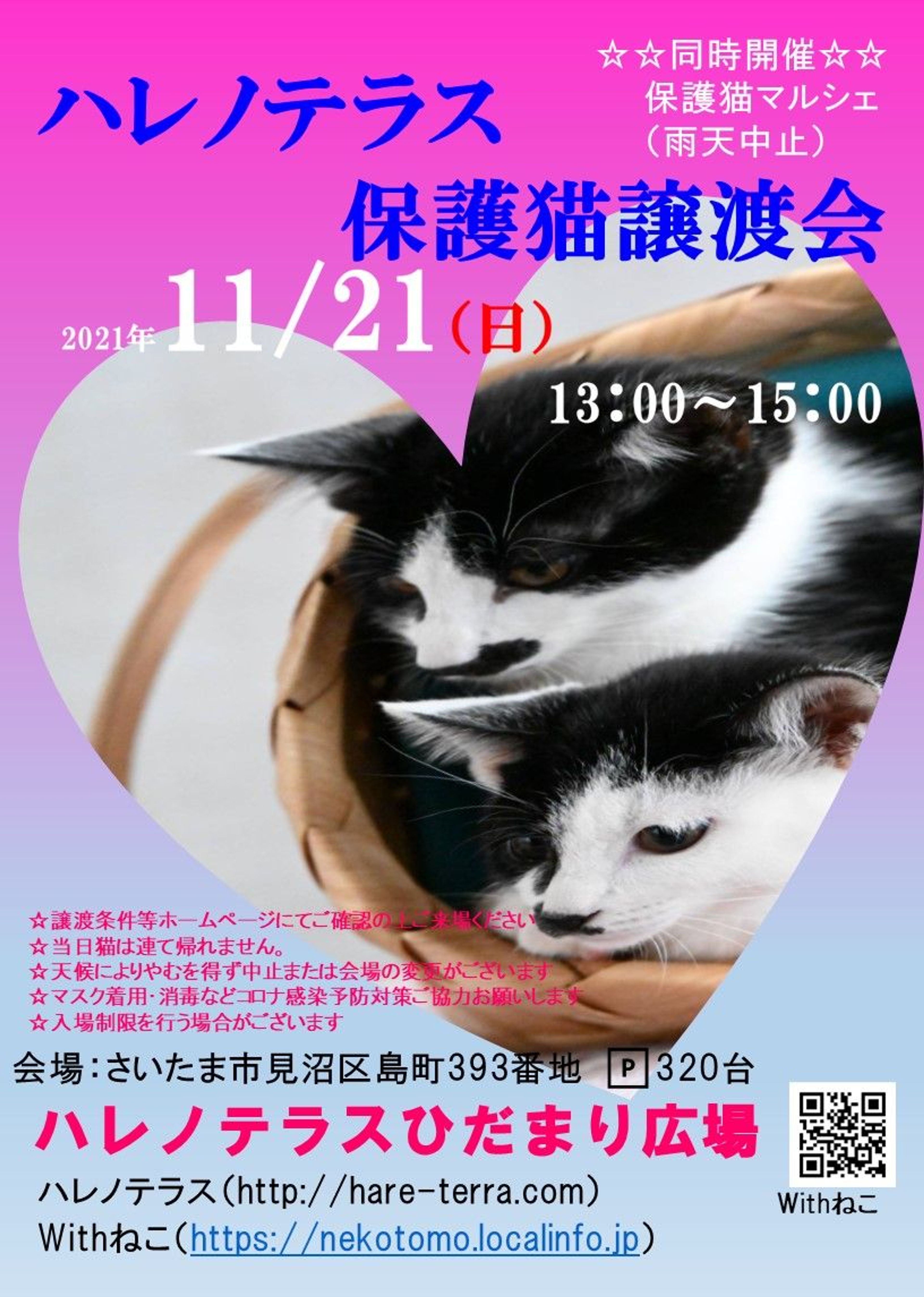 pet-image-8