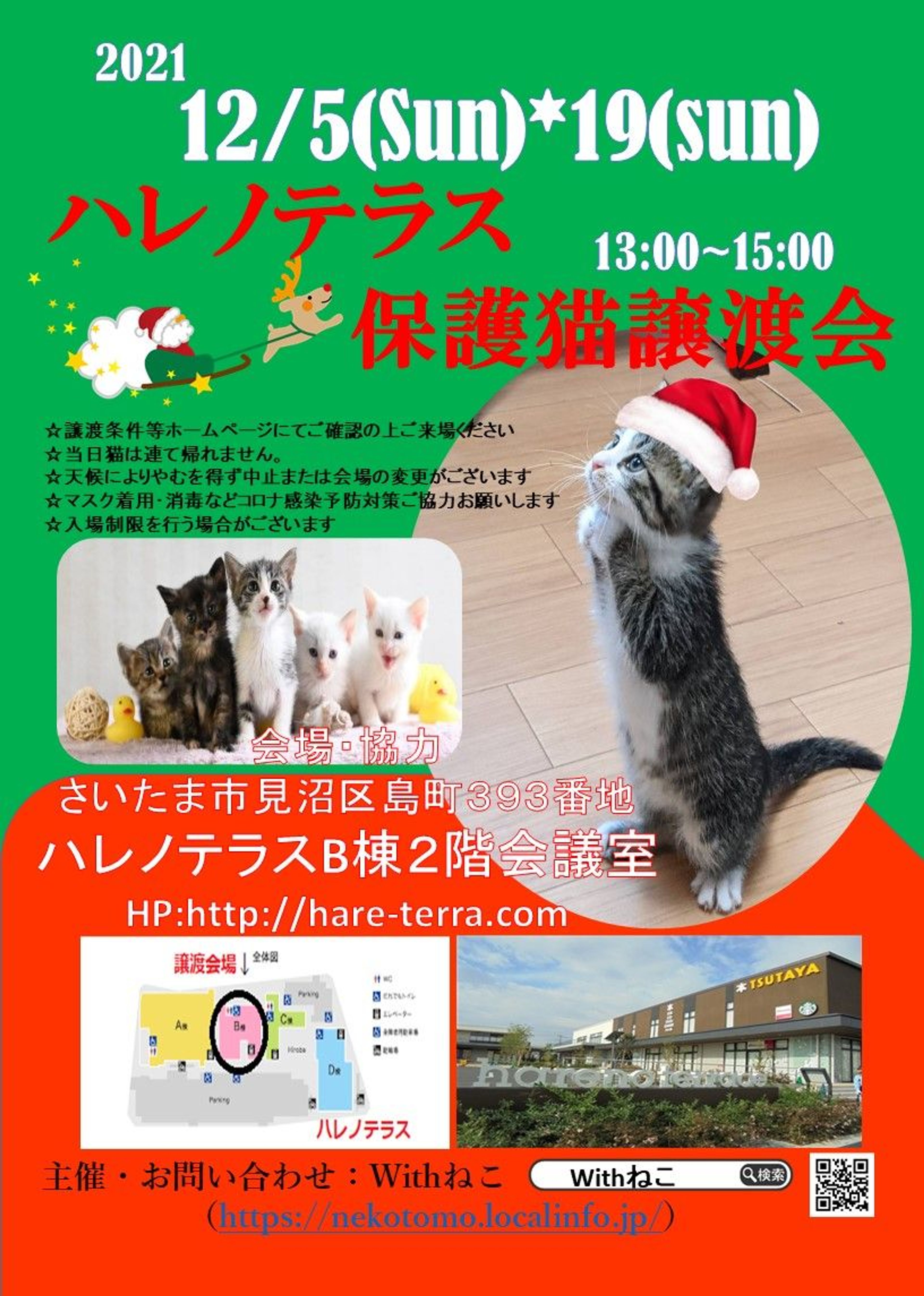 pet-image-4