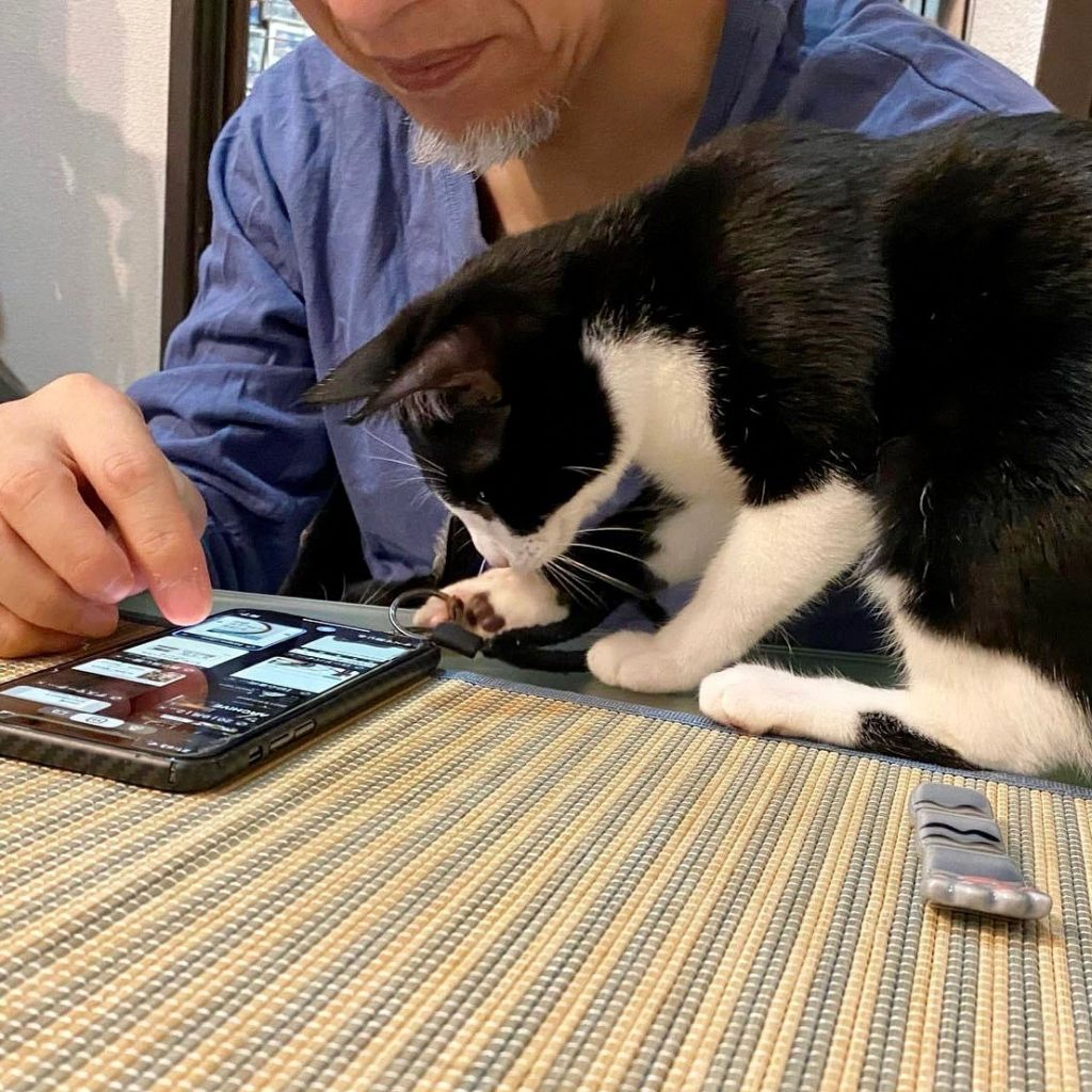 pet-image-5