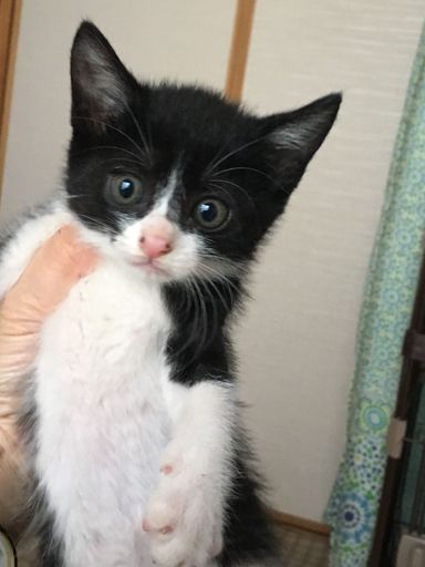名無しちゃんの写真