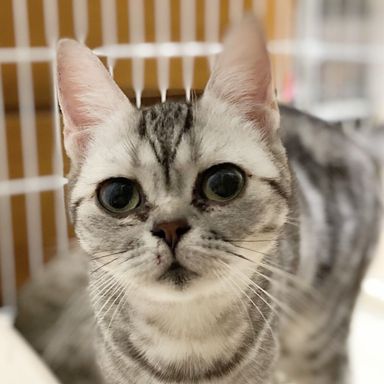 エルの写真