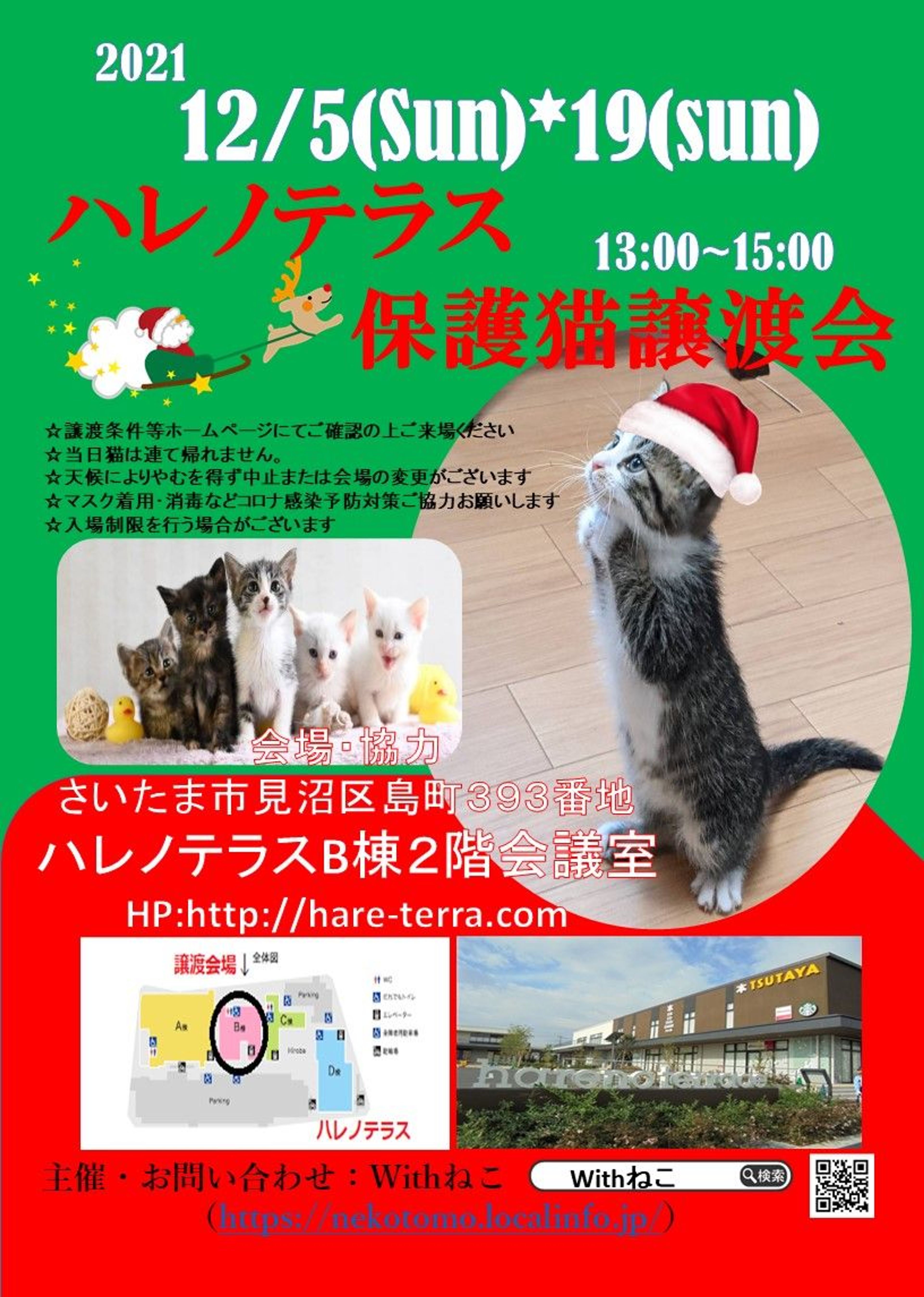 pet-image-8