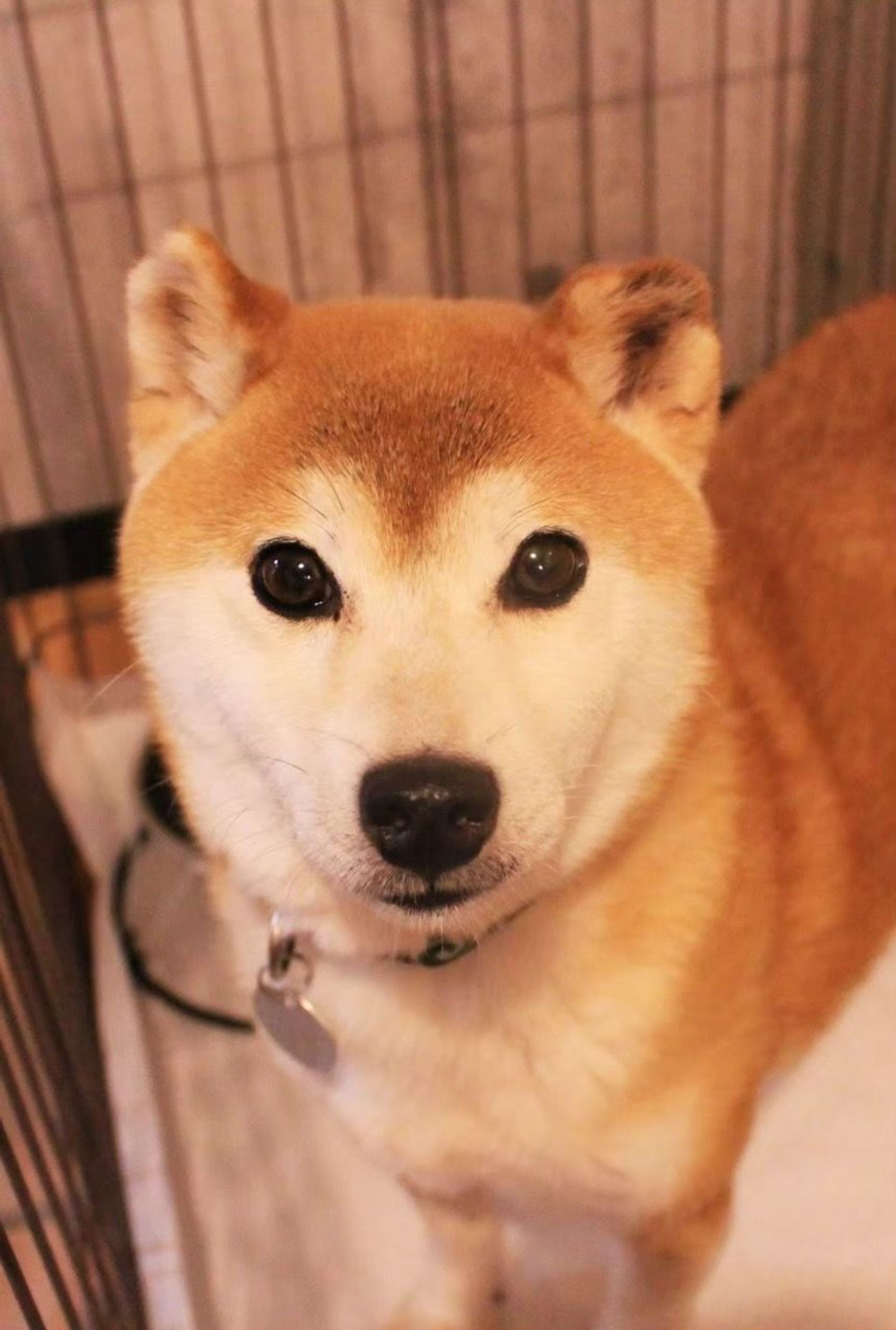 thumbnail-7
