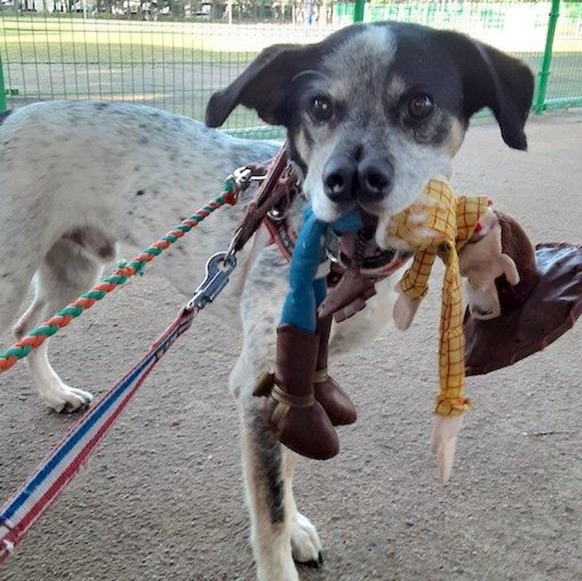 thumbnail-4