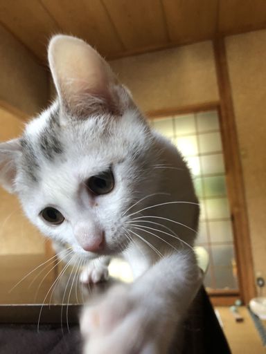 そらくんの写真
