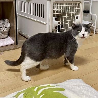 銀河の写真
