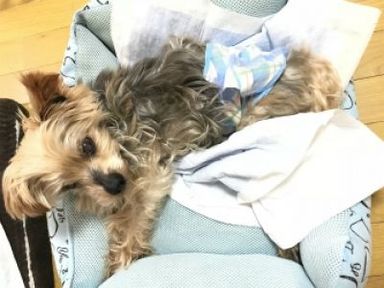 名無しちゃんの写真