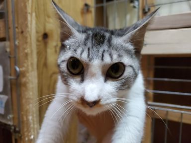 ハイソの写真