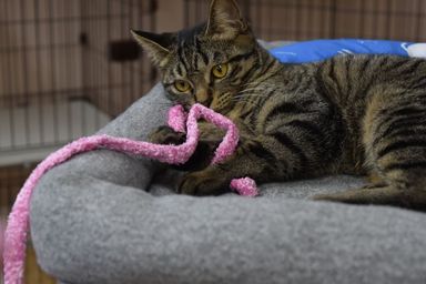 ちーの写真