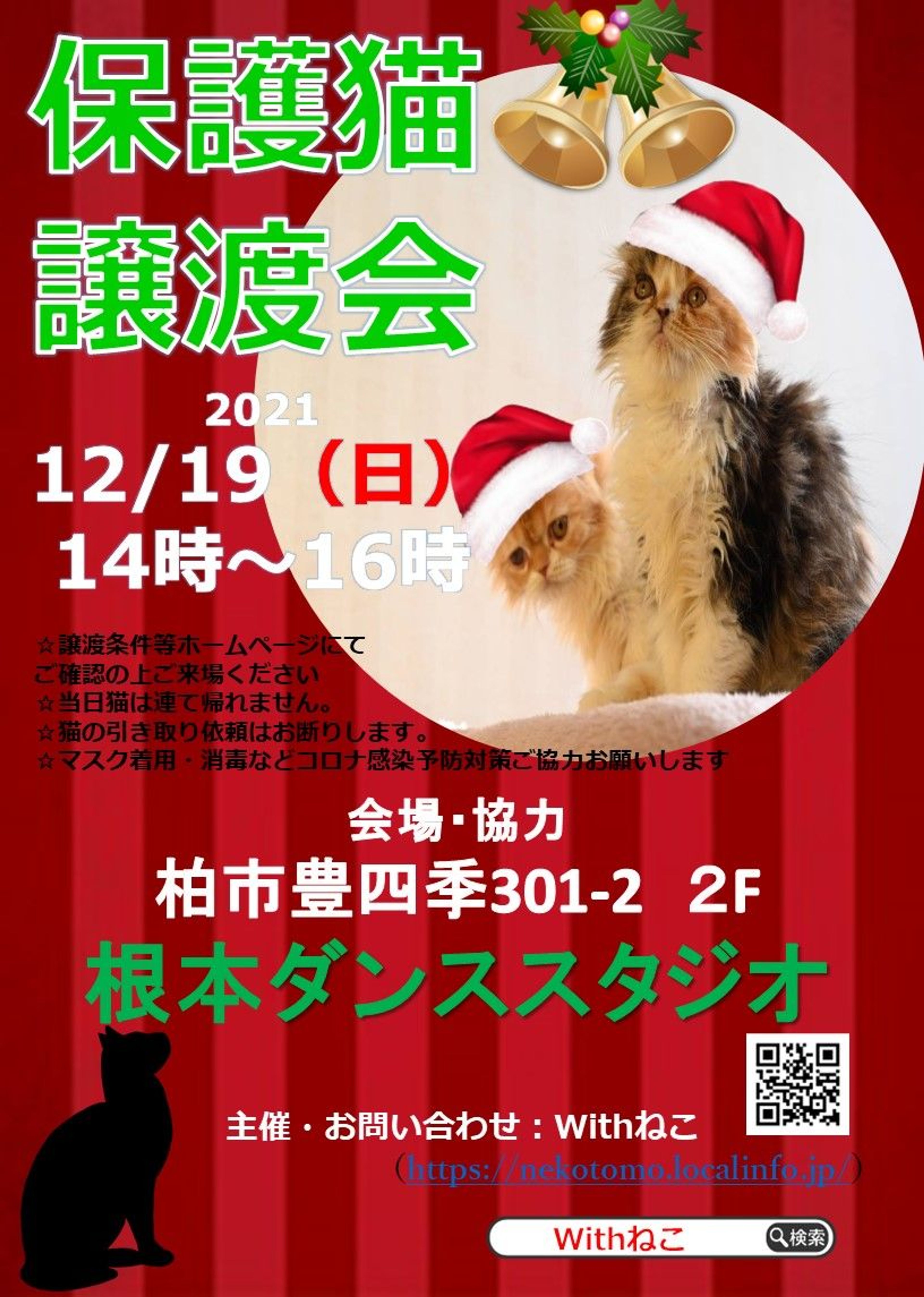 pet-image-6