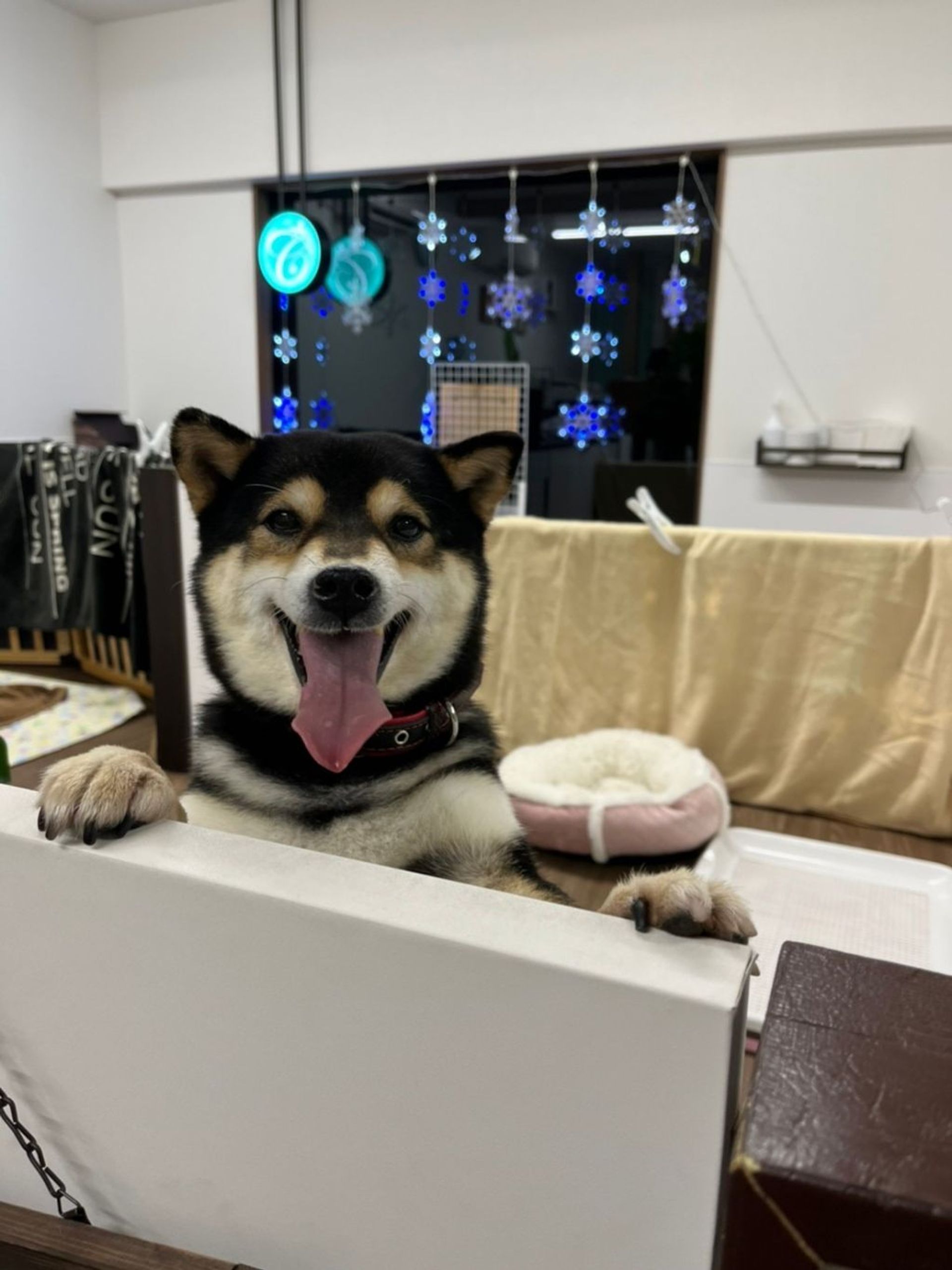 thumbnail-4