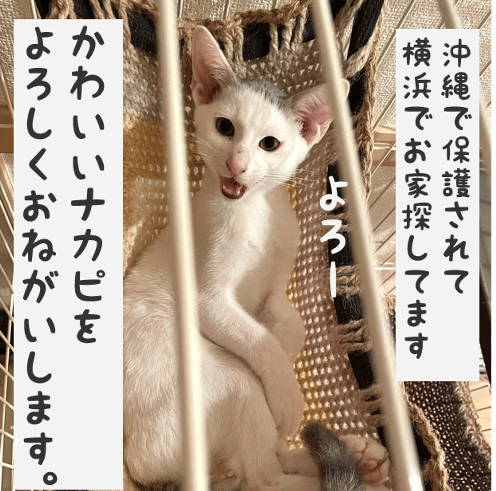 thumbnail-10
