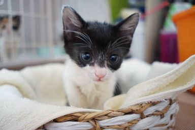 名無しちゃんの写真