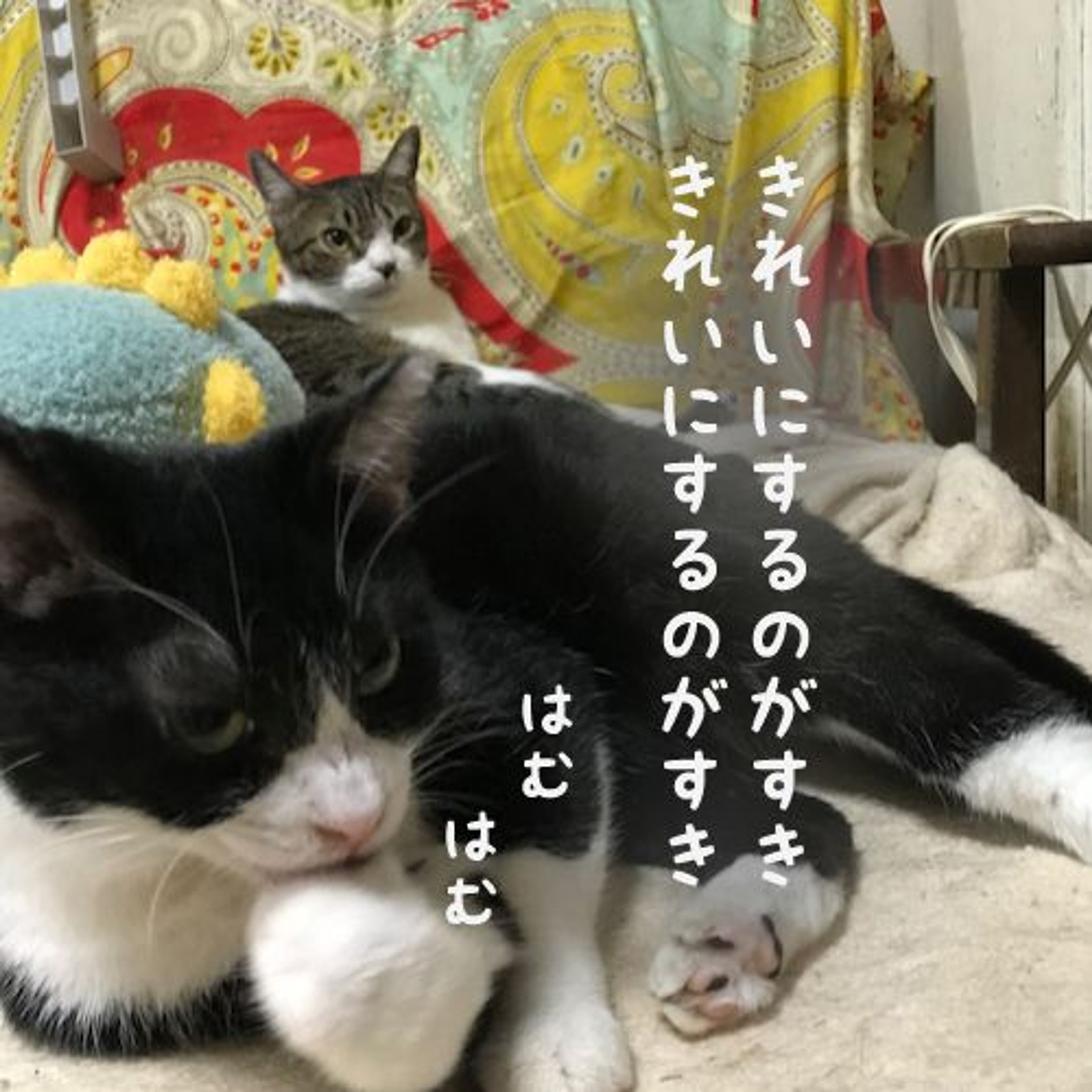 image-4