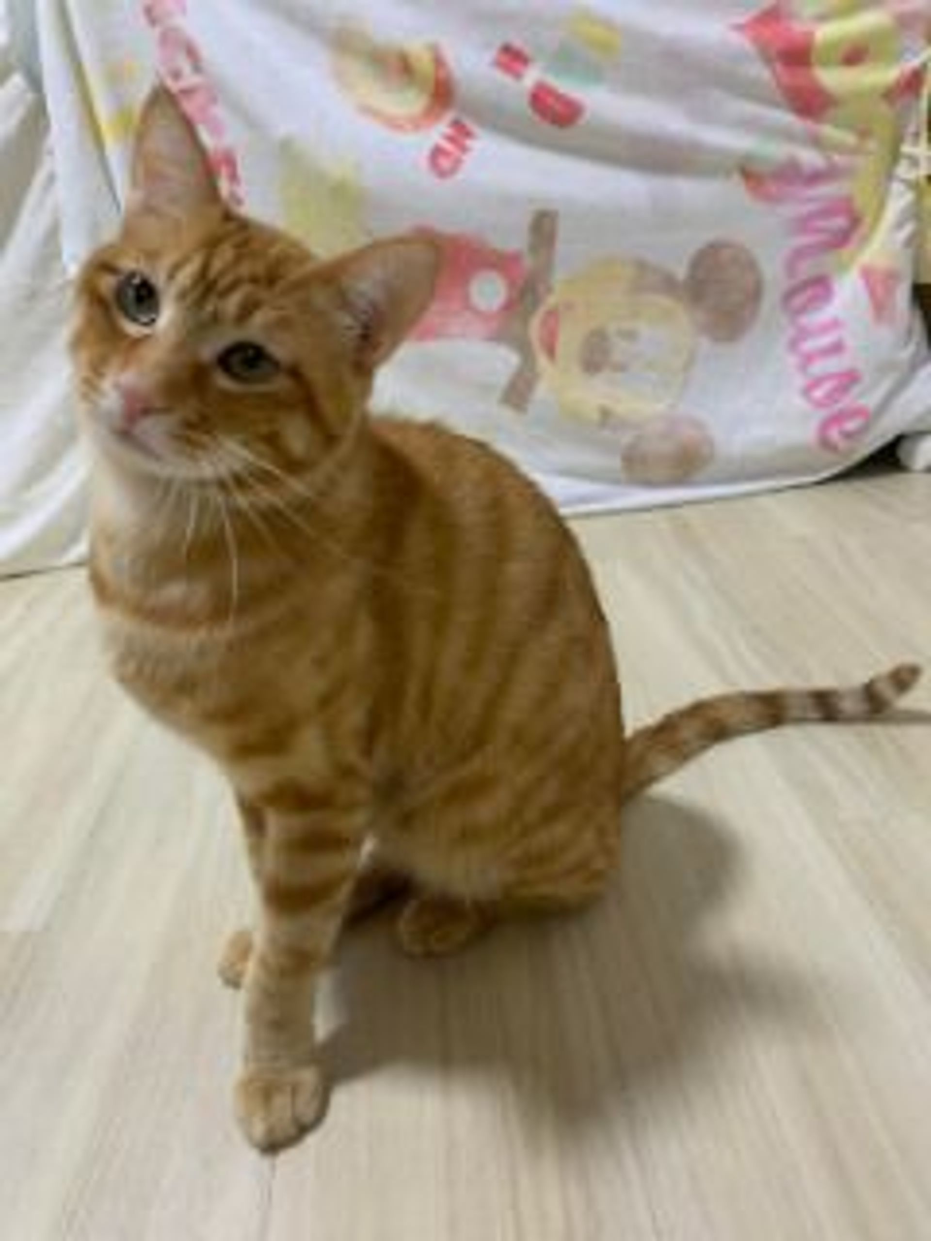 thumbnail-3